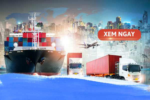 Tìm Hiểu Về Chuyên Ngành Logistics: Cơ Hội Và Tương Lai