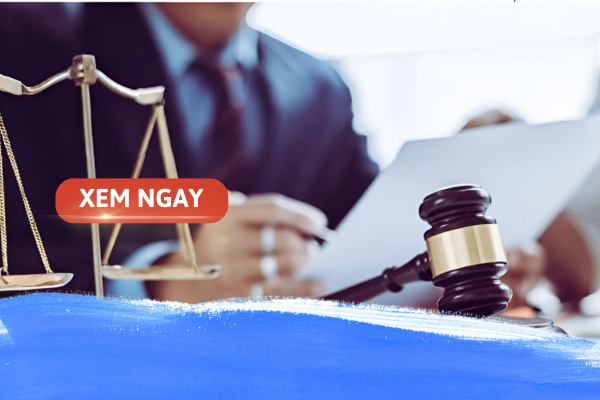 các trường đại học đào tạo ngành luật