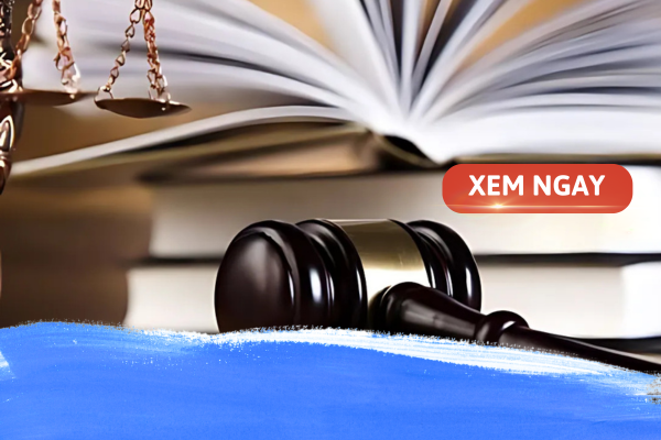 Tìm hiểu về các trường đại học luật chất lượng