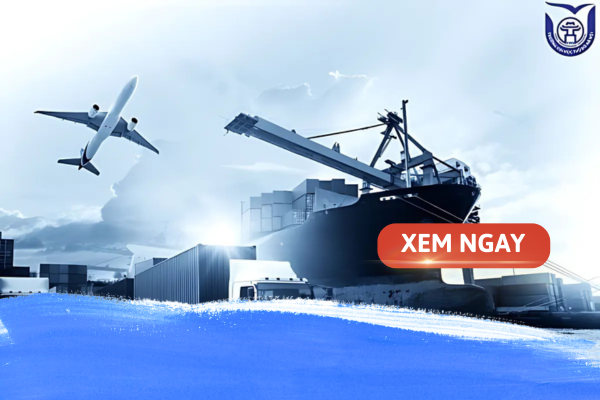 Nên chọn học Kỹ sư Logistics hay Cử nhân Logistics