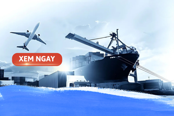 ngành học logistics và quản lý chuỗi cung ứng