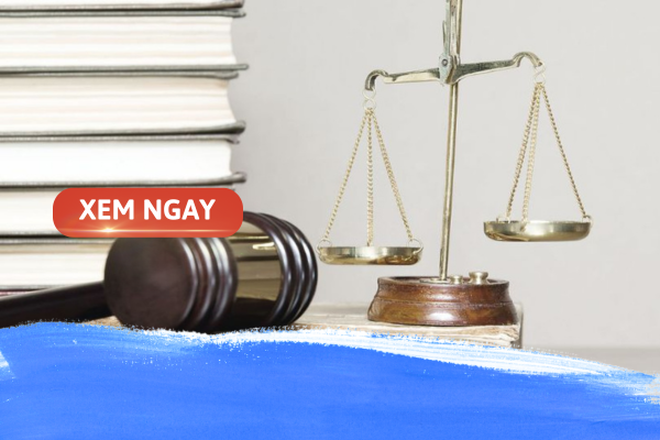 học văn bằng 2 luật từ xa