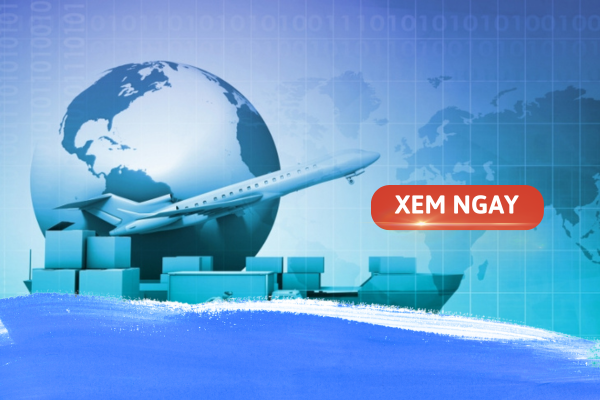 chuyên ngành logistics và quản lý chuỗi cung ứng