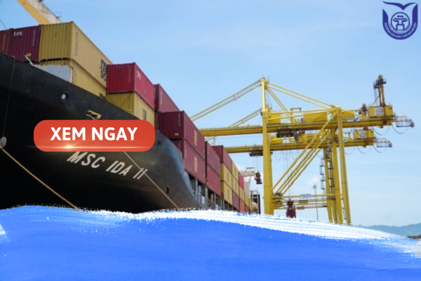 logistic thuộc nhóm ngành nào