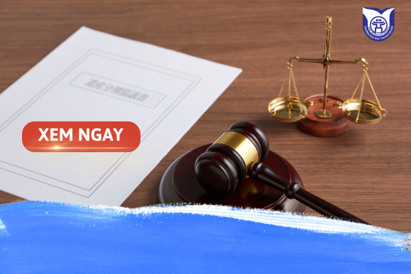 các trường đào tạo ngành Luật