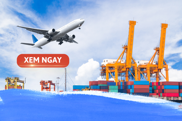 logistic nên học trường nào
