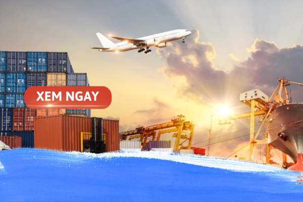 logistics và quản lý chuỗi cung ứng học trường nào