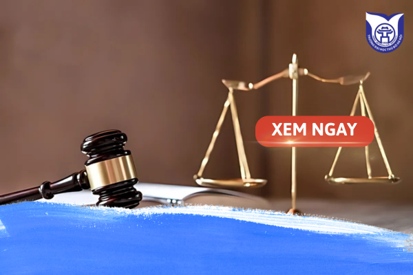 Top các trường Đại học ngành Luật nên theo học tại Việt Nam