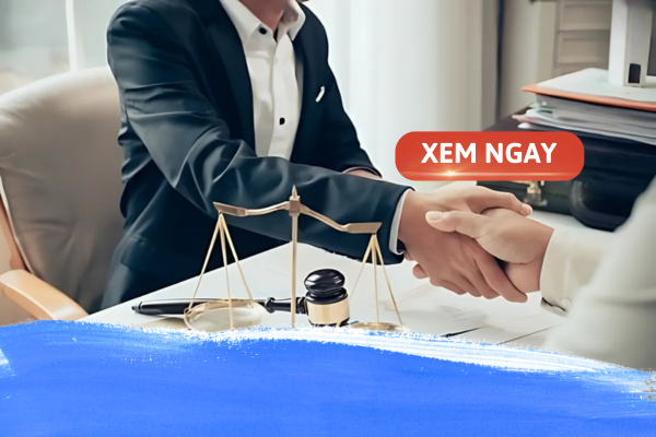 Nên học ngành luật nào? Nguyên nhân vì sao?