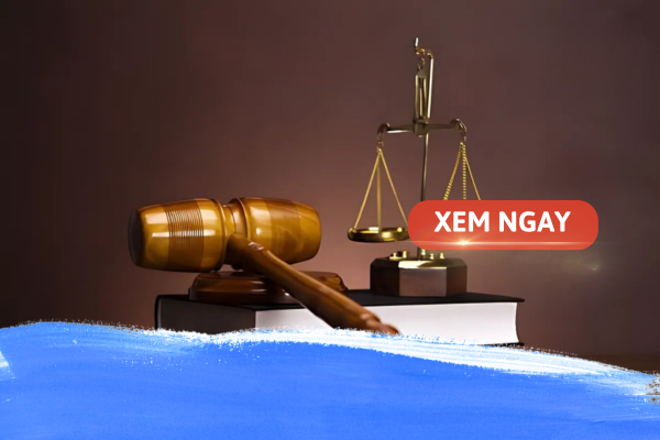 Tìm hiểu về ngành luật sư: Tổng hợp thông tin từ A-Z