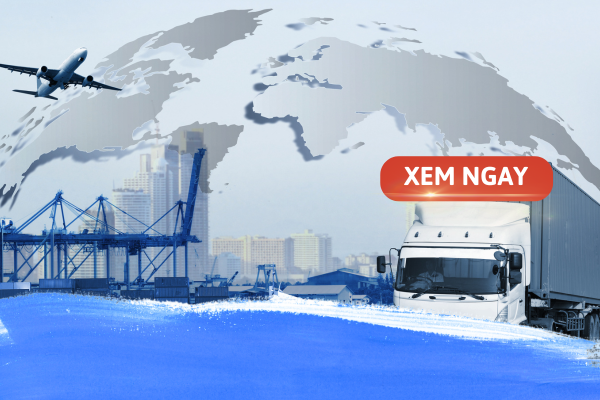 Ngành Logistics học trường nào ở TPHCM? Top trường đào tạo tốt