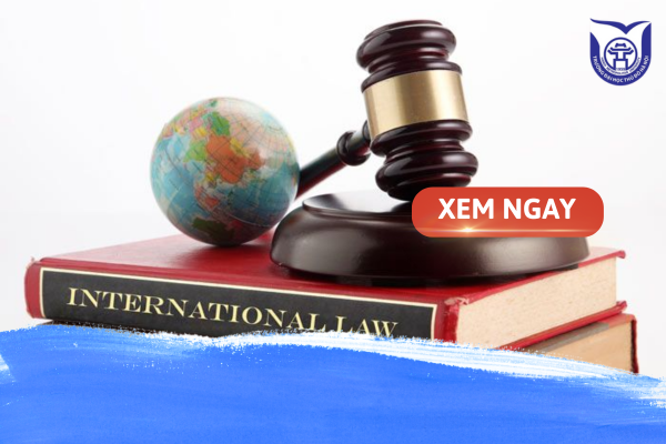 Có nên học Luật quốc tế không? Cơ hội việc làm & trường đào tạo