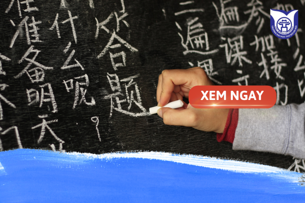 Kỹ năng được rèn luyện từ chương trình đào tạo Ngôn ngữ Trung 