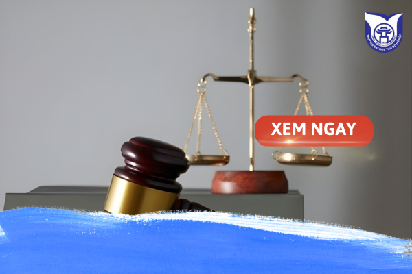 Bằng cử nhân Luật là gì? Giá trị của tấm bằng cử nhân Luật hiện nay